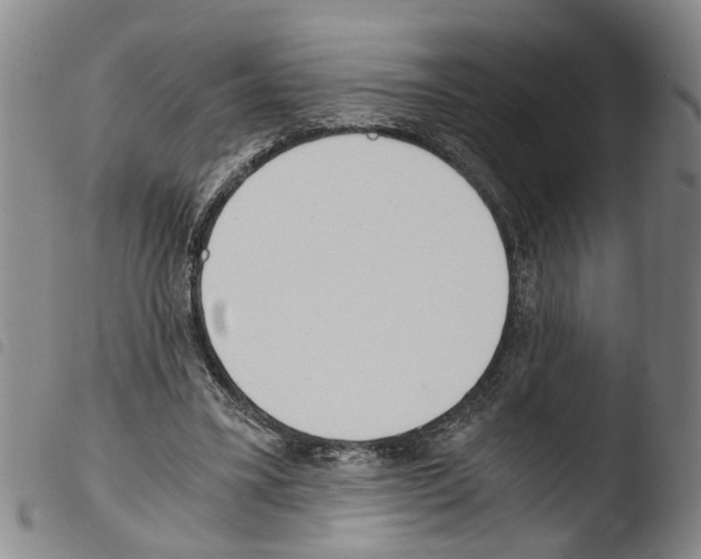 X0000103500395200810241130