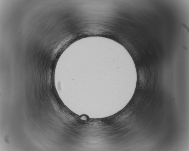 X0000103500396200810241130