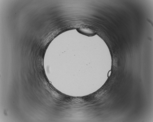 X0000103500397200810241130