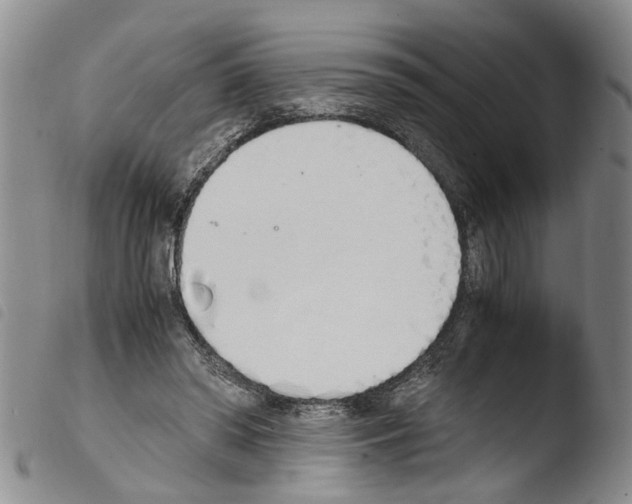 X0000103500398200810241129