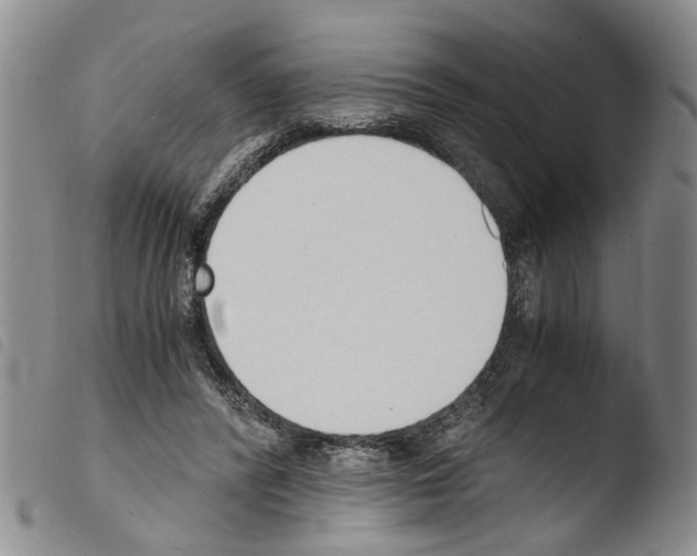 X0000103500400200810241129