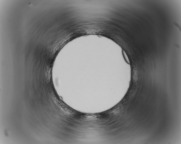 X0000103500405200810241129