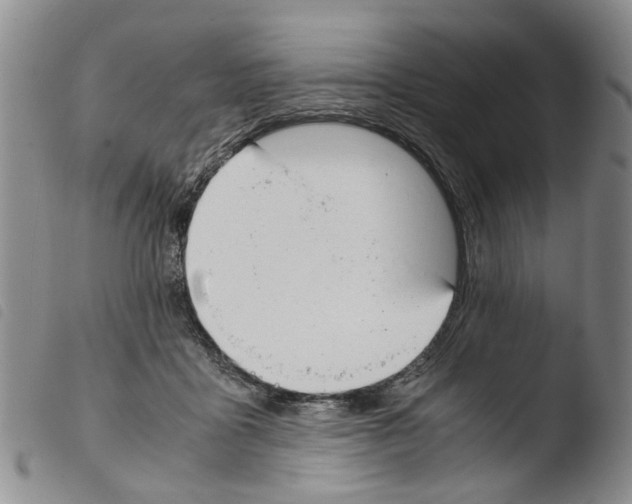 X0000103500411200810241129