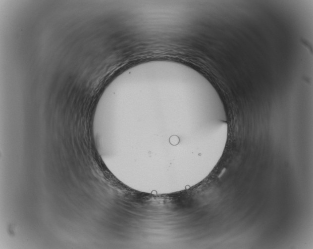 X0000103500415200810241129