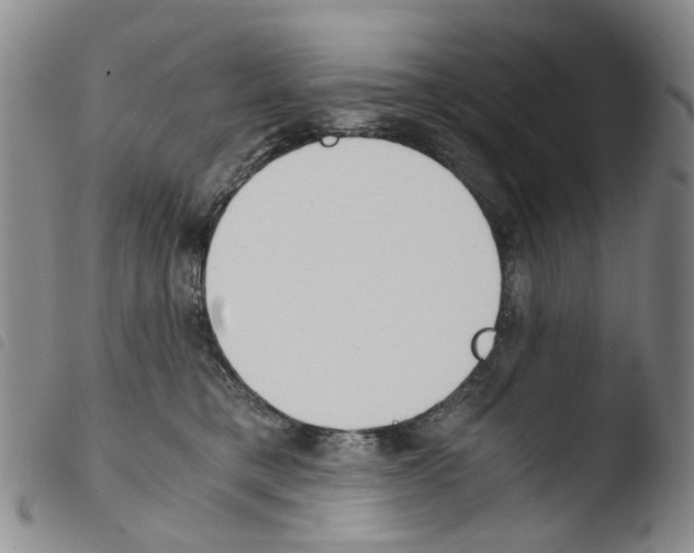 X0000103500421200810241129