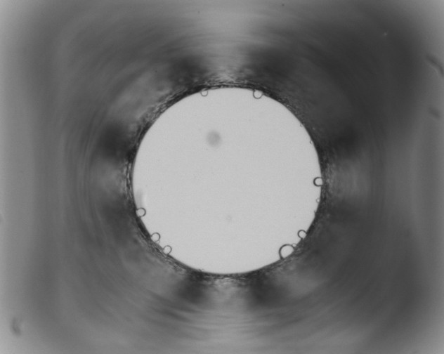 X0000103500423200810241129