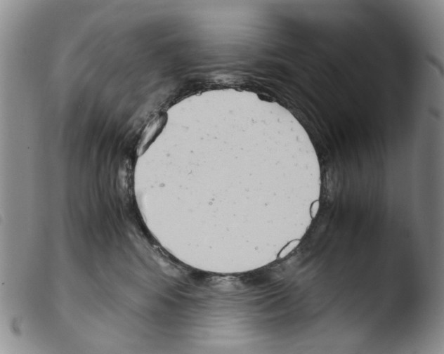 X0000103500424200810241129