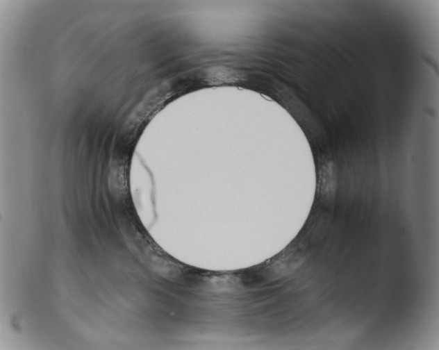 X0000103500426200810241129