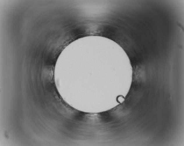 X0000103500427200810241129