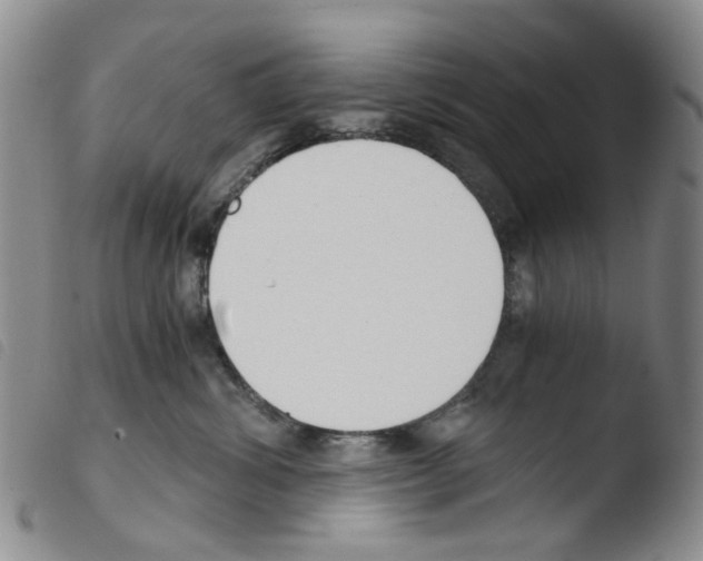 X0000103500428200810241129