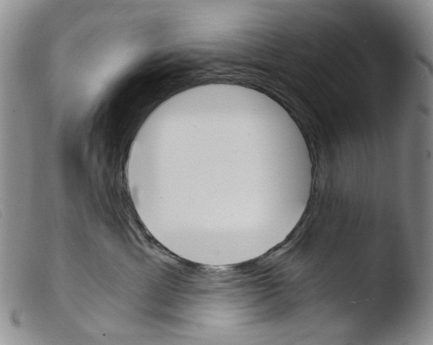 X0000103500429200810241129