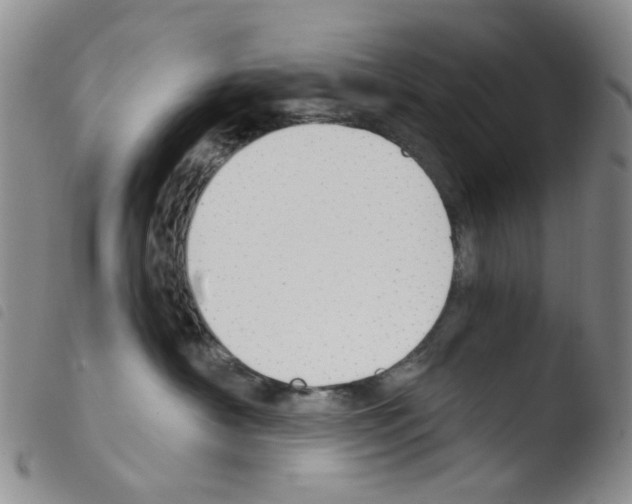 X0000103500430200810241129