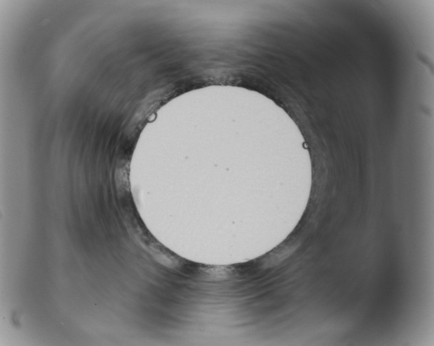 X0000103500432200810241129