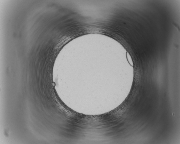 X0000103500433200810241128