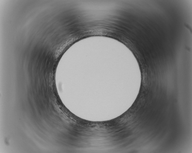 X0000103500434200810241128