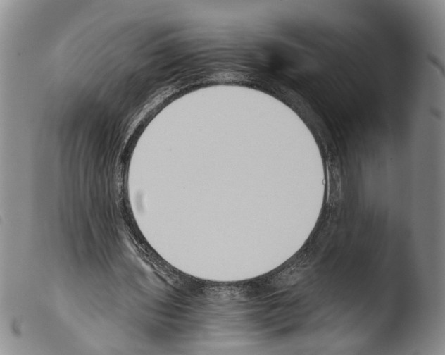 X0000103500435200810241128