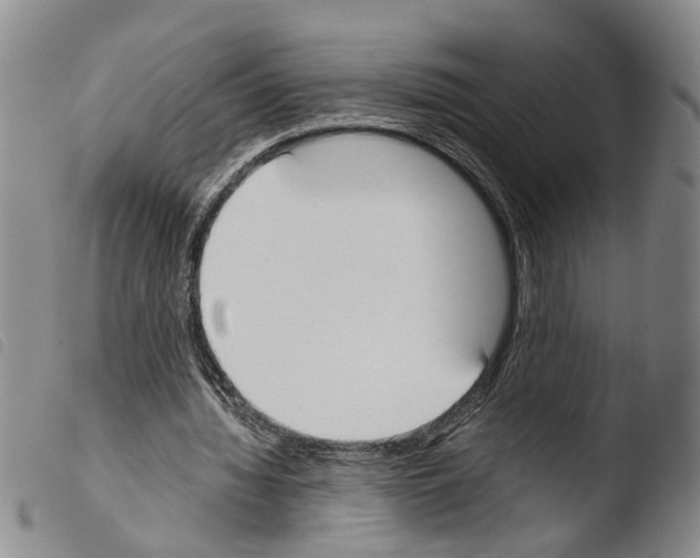 X0000103500436200810241128