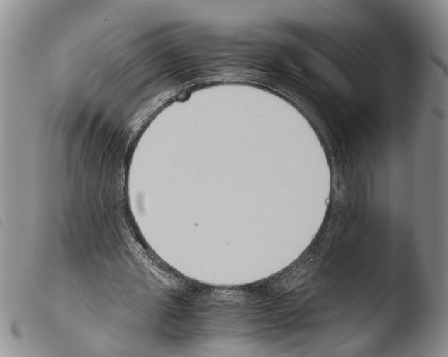 X0000103500437200810241128