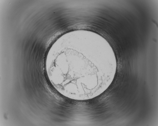 X0000103500438200810241128