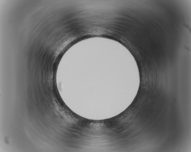 X0000103500440200810241128