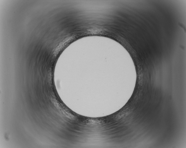 X0000103500442200810241128