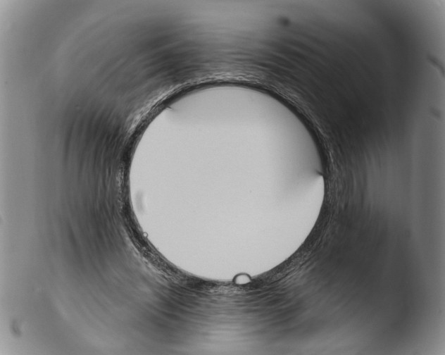 X0000103500444200810241128