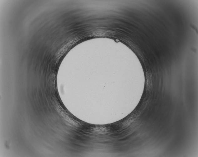 X0000103500445200810241128