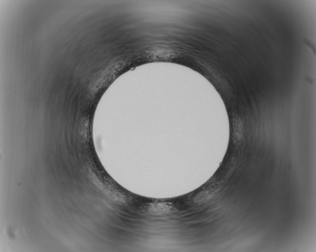 X0000103500451200810241128