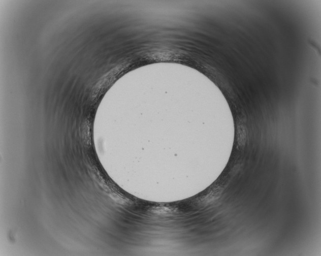 X0000103500453200810241128