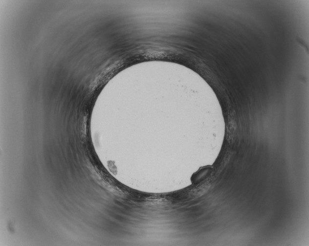 X0000103500454200810241128