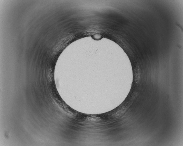 X0000103500455200810241128