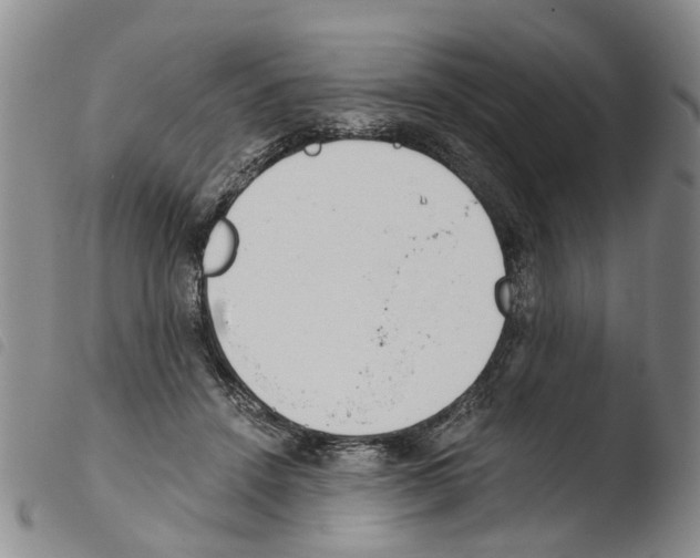 X0000103500456200810241129