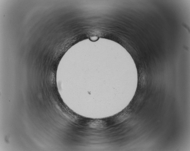 X0000103500459200810241129