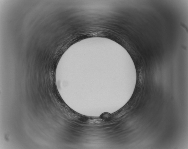 X0000103500461200810241129