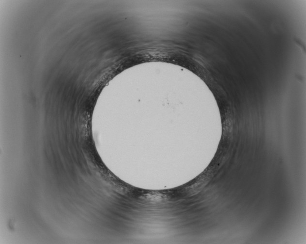 X0000103500464200810241129