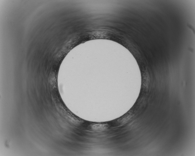 X0000103500465200810241129