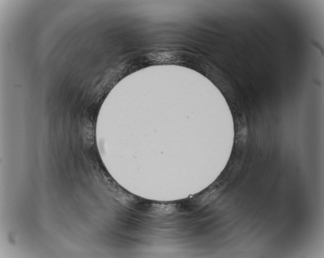 X0000103500469200810241129