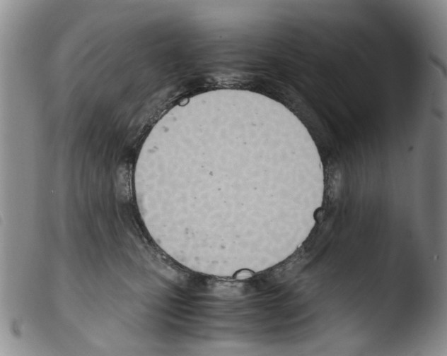 X0000103500471200810241129