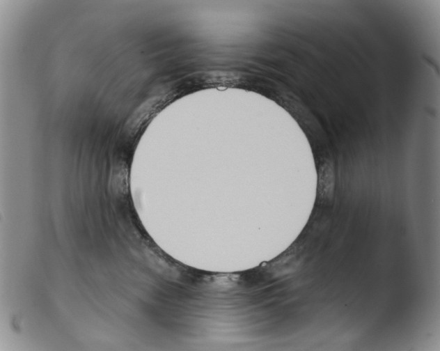 X0000103500474200810241129