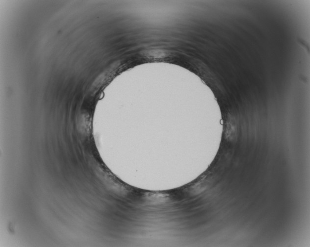 X0000103500476200810241129