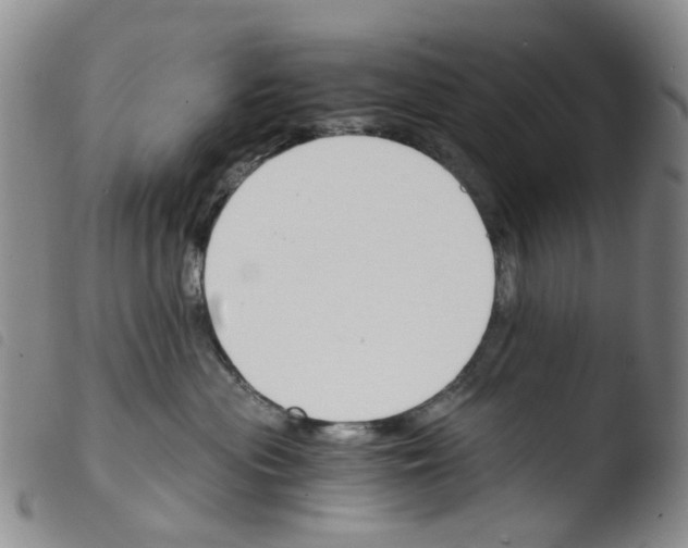 X0000103500477200810241129