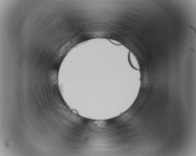 X0000103500478200810241129