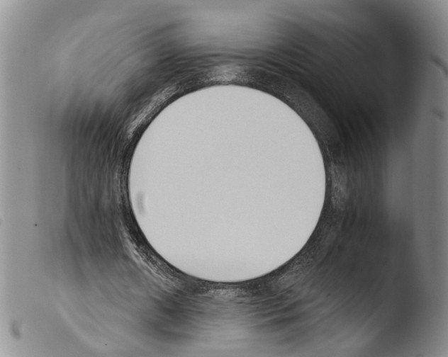 X0000103500482200810241128