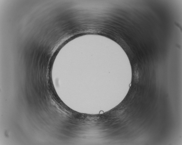 X0000103500484200810241128