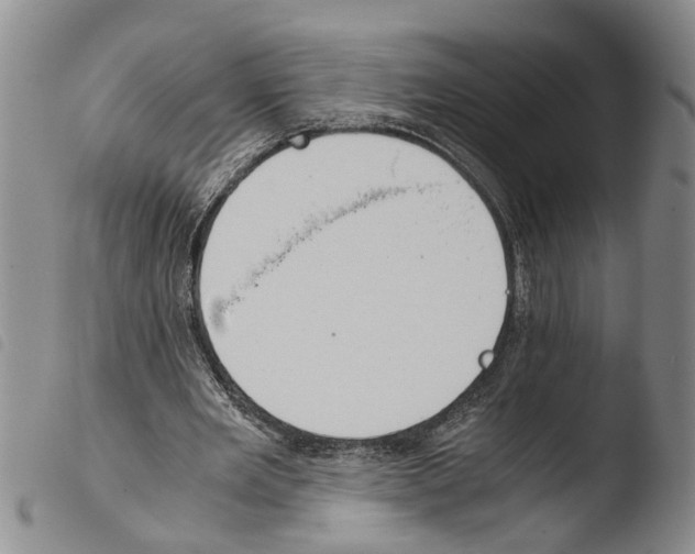 X0000103500485200810241128