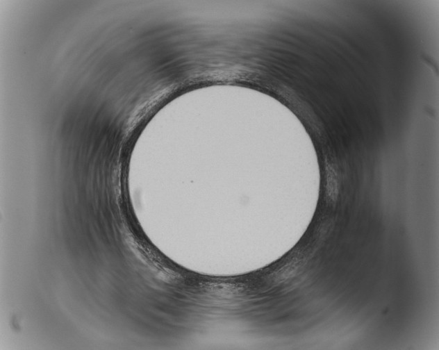 X0000103500486200810241128