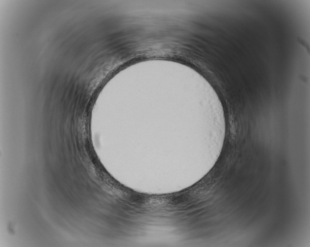 X0000103500487200810241128