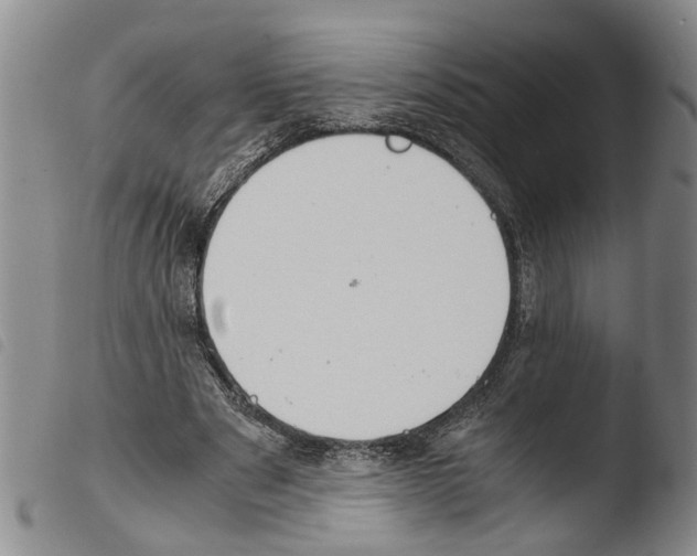 X0000103500489200810241128