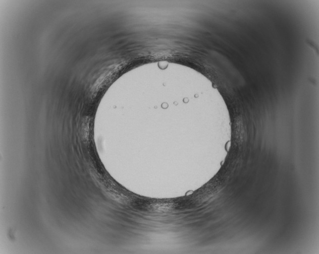 X0000103500495200810241128