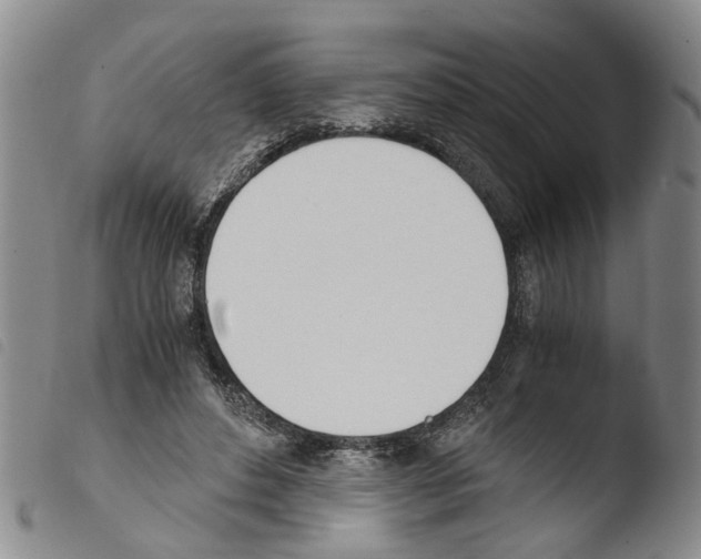 X0000103500496200810241128